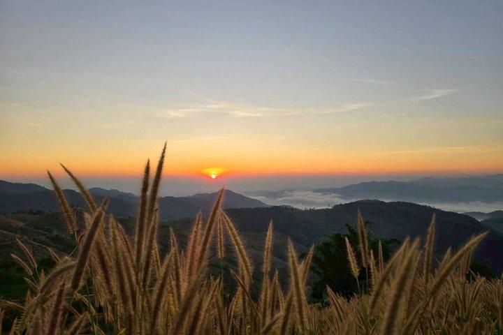 Chiang Rai to Chiang Mai Private Scenic Transfer Tour
