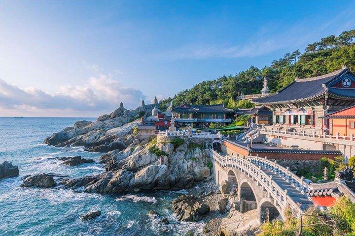 The Real Busan: Bamboo Forest, Coast and Local Life Full Day Tour