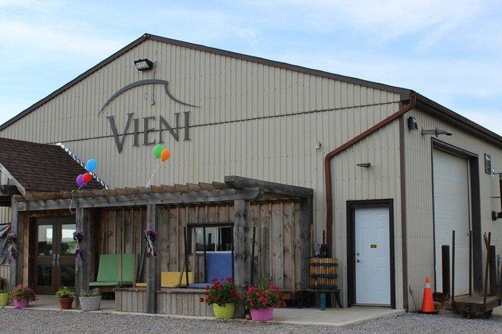 Niagara Wine Tour and Tastings with Transportation