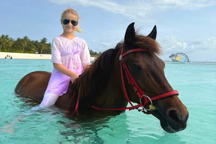 Zanzibar Horse Riding Adventure at Nungwi or Kendwa Beach