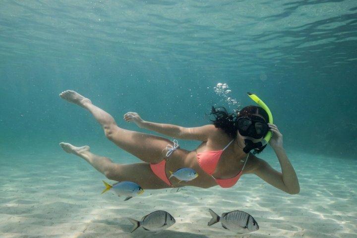 From Zadar Experience: Snorkeling & Island Vibes on a Speedboat