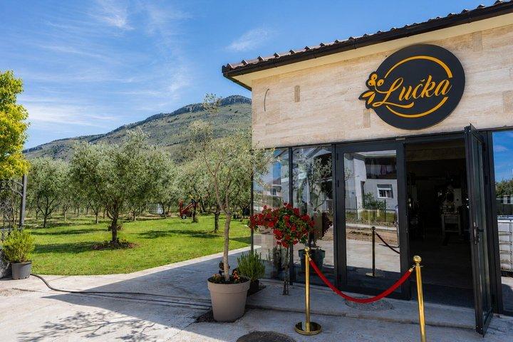Olive Oil Mill Experience and Tasting in Tuzi