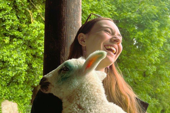 From Dublin: Wicklow, Glendalough, Waterfall & Sheepdog demo