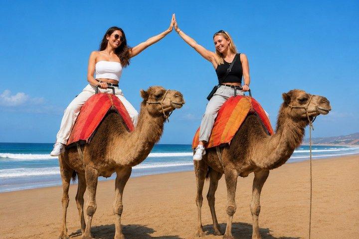 Tangier 4-Hour Private Tour with Camel Ride, Medina & Kasbah ………