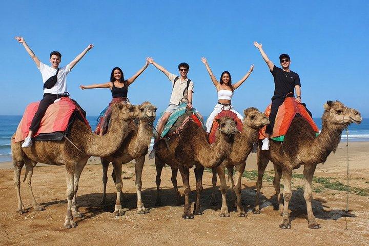 Tangier 4-Hour Private Tour with Camel Ride, Medina & Kasbah ………