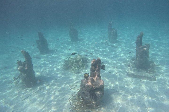 Cancun: 4-Stop Snorkeling Tour, Turtles,Reef,Shipwreck & Cenote