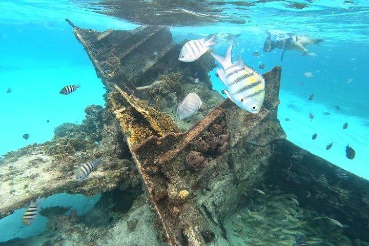 Cancun: 4-Stop Snorkeling Tour, Turtles,Reef,Shipwreck & Cenote