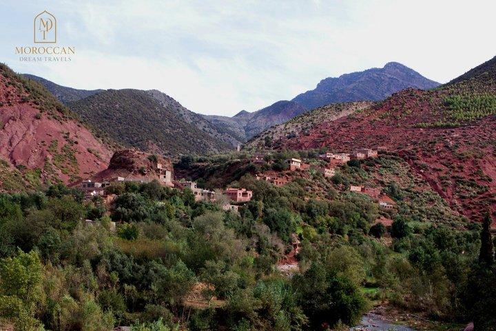 Guided Tour to Ourika Valley