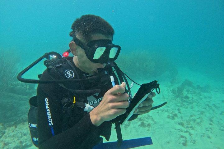 Lionfish Scuba Mini Course Underwater Adventure