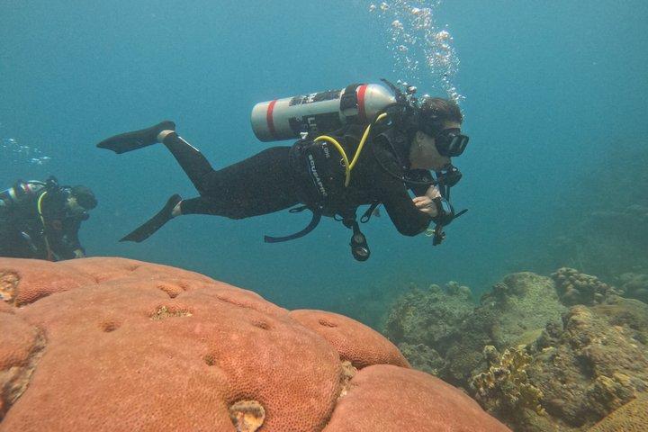 NAUI Open Water Parque Tayrona Diving Certification Course