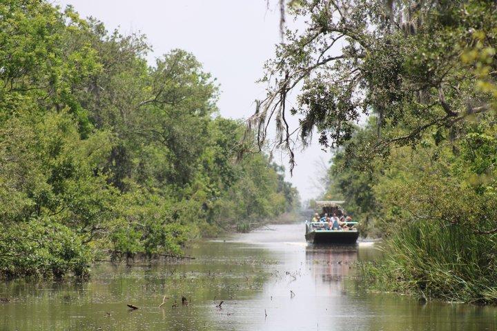 Small Airboat and Oak Alley Plantation Tour from New Orleans