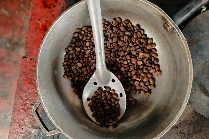 Cocora Valley, Coffee & Philandia Experience