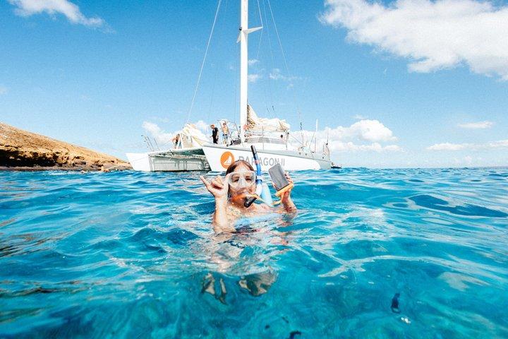 Lahaina Maui Sea Turtle Snorkel Sail Adventure w/Lunch & Open Bar