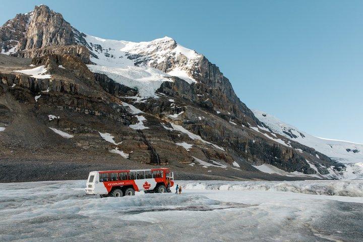Lake Louise Jasper Columbia Icefield Athabasca Falls Peyto Tour