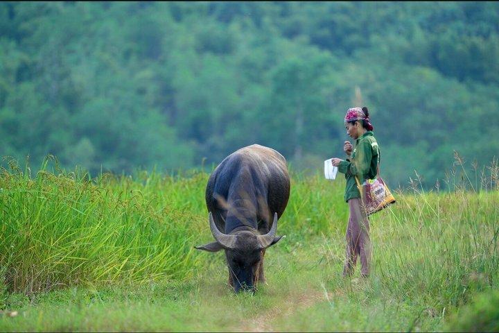 15 Day Private Tour from Hanoi to Saigon