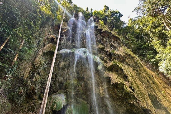 Oslob Whale Shark, Moalboal Sardines & Badian Canyoneering Tour