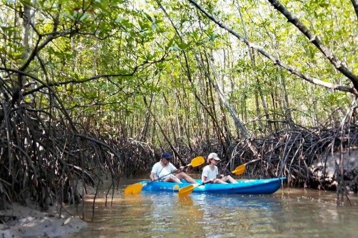 Ko Lanta Mangrove Kayaking and Old town