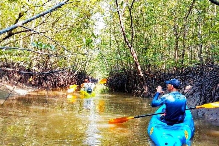 Ko Lanta Mangrove Kayaking and Old town