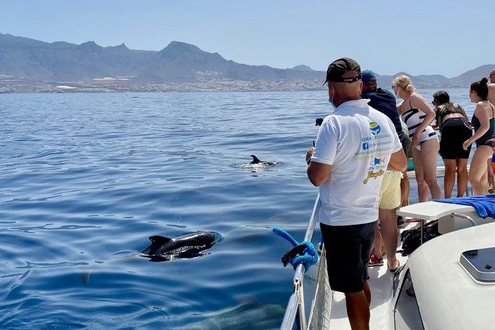 Most Famous Catamaran in Tenerife Island - Unlimited Drinks