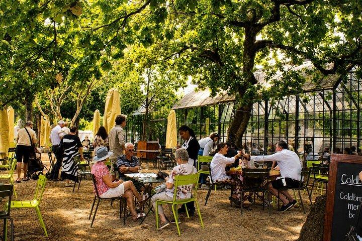 Cape Town Wine Tour: 3 Wineries — Babylonstoren, Fairview & Spier