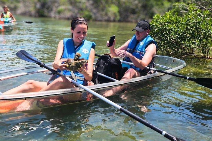 3 Hour Clear Kayak Beach Hopping Adventure in Sarasota
