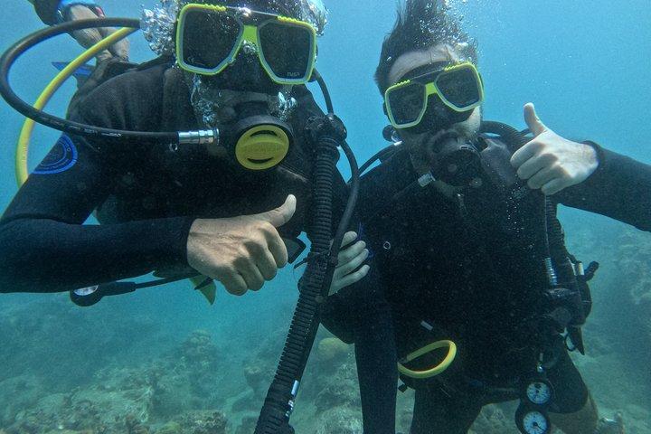 Diving in Santa Marta Taganga and Tayrona Park