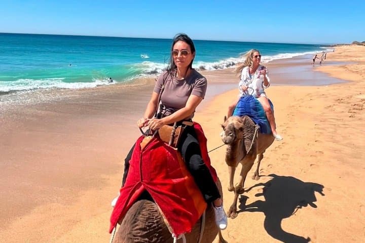 Malaga/Tarifa toTangier PrivateTour with tickets, lunch&camels