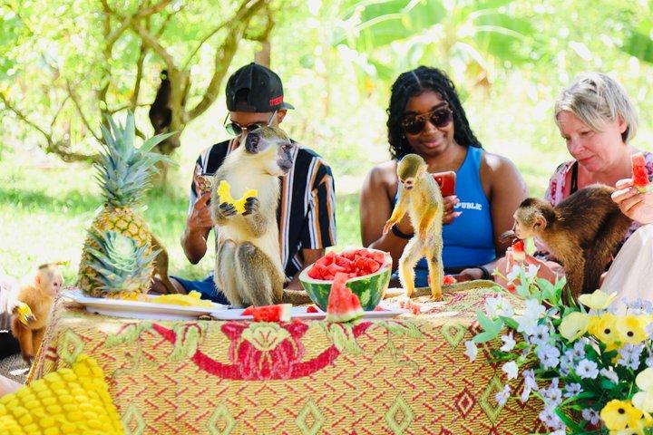Monkey House VIP Punta Cana – 4 Species Educational Tour