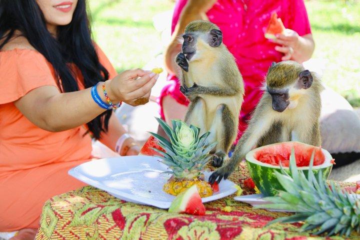 Monkey House VIP Punta Cana – 4 Species Educational Tour