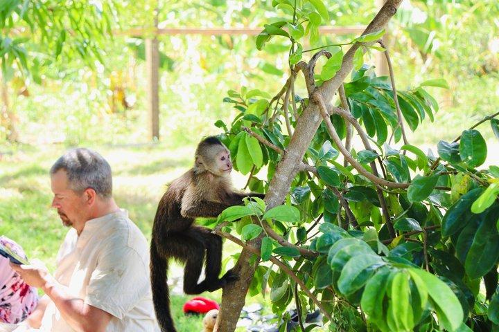 Monkey House VIP Punta Cana – 4 Species Educational Tour
