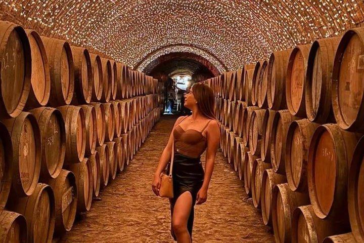 Tequila Pueblo Mágico Tour desde Guadalajara