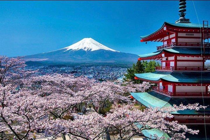 Mount Fuji Full Day Customize Private Tour With English Guide
