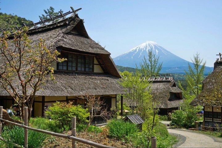 Mount Fuji Full Day Customize Private Tour With English Guide