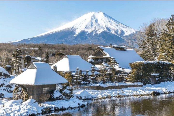 Mount Fuji Full Day Customize Private Tour With English Guide