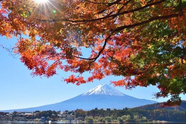 Mount Fuji Full Day Customize Private Tour With English Guide