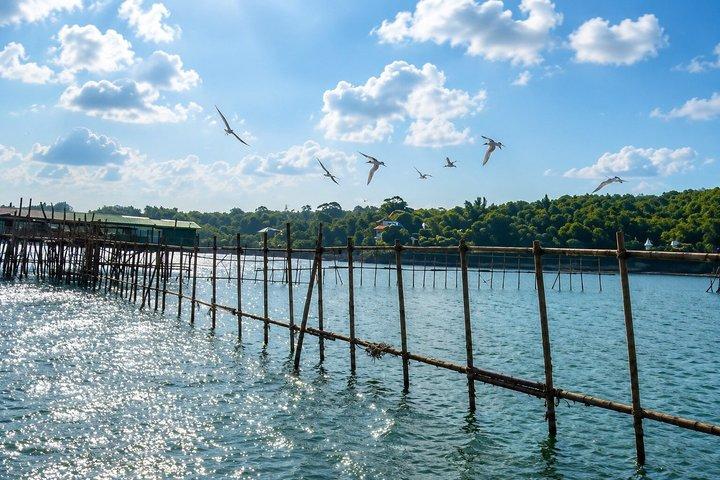 Disappearing Kelongs: Singapore Boat Tour Around Pulau Ubin