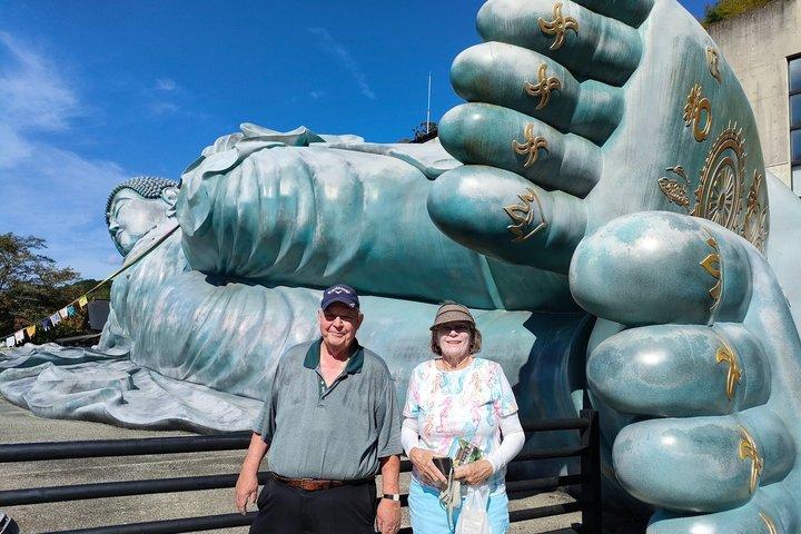 Port Pick-Up: Hakata Private Tour Licensed Guide& Vehicle