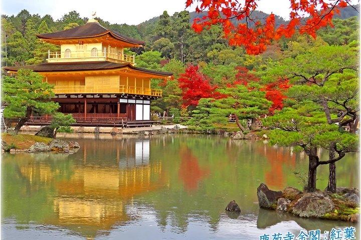 Kyoto: Kinkakuji Behind the Gold - UNESCO Walk (Incl. Entry Fee)