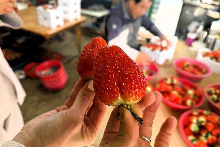 Nonsan 1Day Tour: K-Drama Filming Site & Local Experience