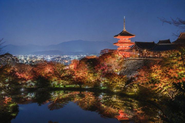 Kyoto Private Night Tour Gion Fushimi Inari Taisha and More