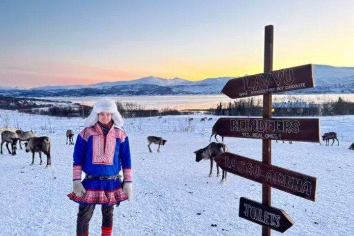 Tromso Reindeer Feeding Sami Culture Experience