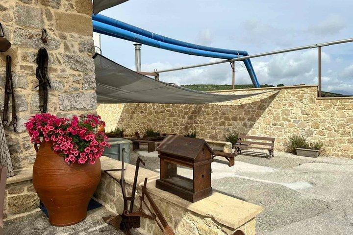 Small-Group Honey & Extra Virgin Olive Oil Tasting Tour in Crete