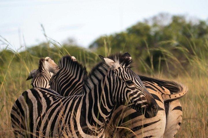4 Days Group Camping Safari Tour