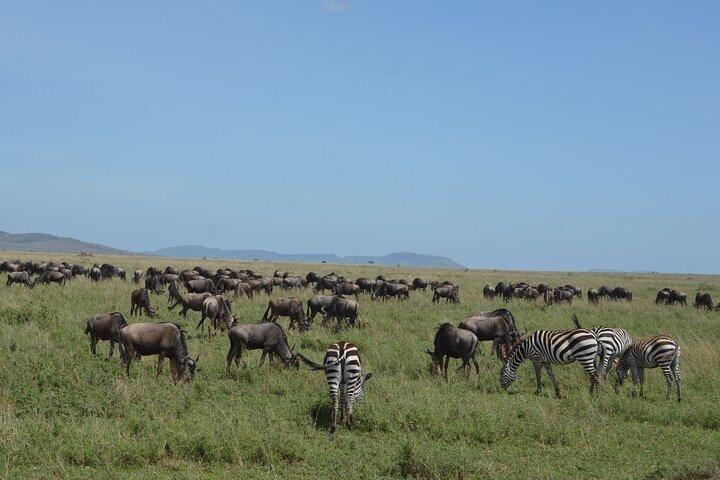 4 Days Group Camping Safari Tour