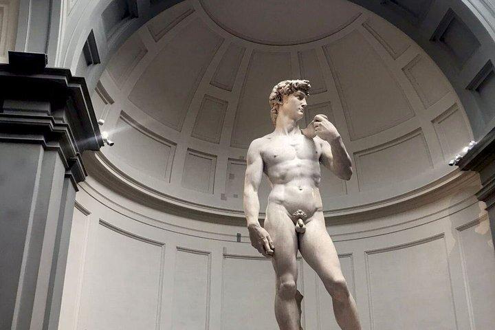 Accademia Gallery: Michelangelo's David and High Renaissance Art