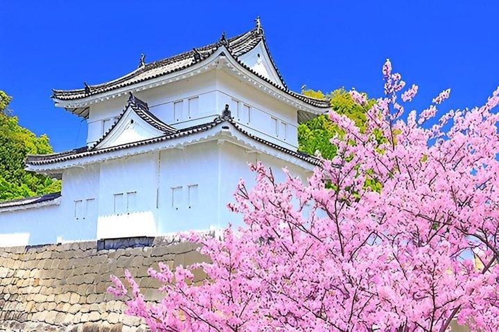 Nijo Castle Samurai Inside Story — Top-Rated Guide (Max 8)