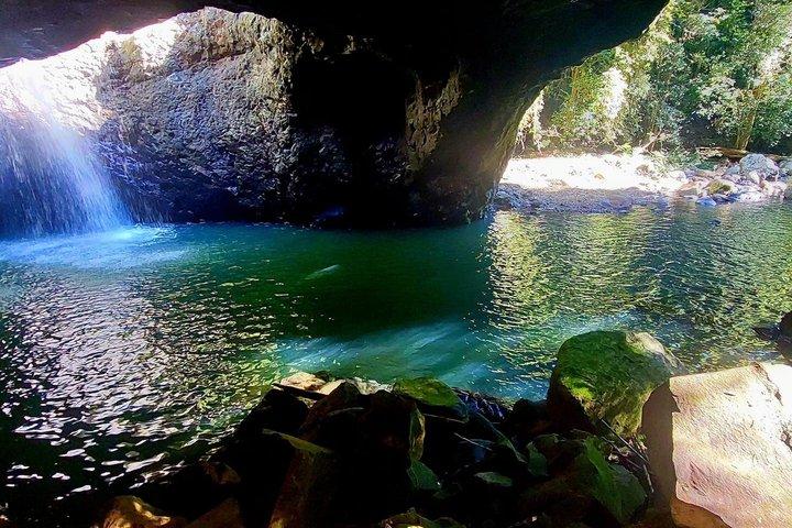 Gold Coast Hinterland Waterfalls & Rainforest Private Tour