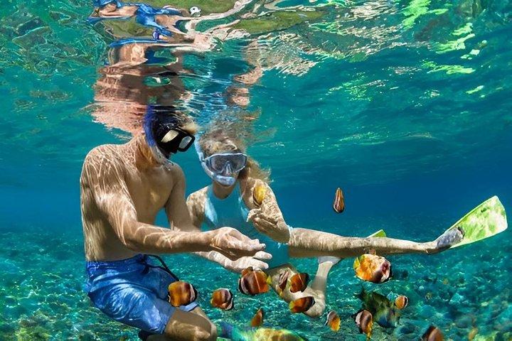 4 Destinations VIP Tour of Rosario Islands with Snorkeling and Lunch