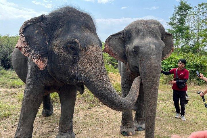 Special Kulen Elephant Forest Tour with Airport Transfer