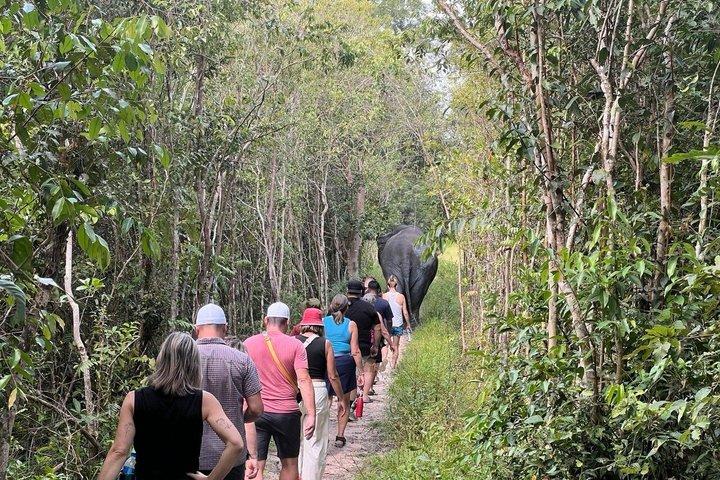 Special Kulen Elephant Forest Tour with Airport Transfer